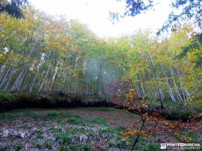 Selva Irati-Pirineo Navarro-Puente del Pilar;rutas a pie granja de san ildefonso segovia senderista